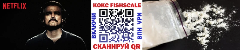 где можно купить   Краснозаводск  гидра ссылка  Cocaine FishScale 