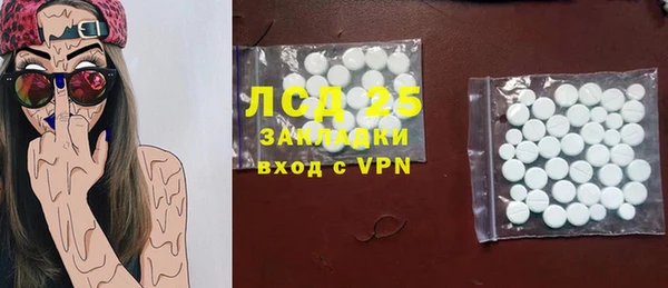 хмурый Новозыбков