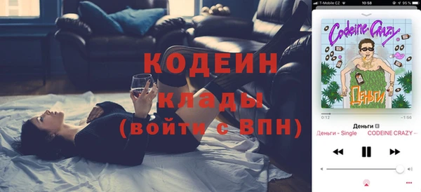 хмурый Новозыбков