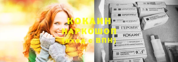 хмурый Новозыбков