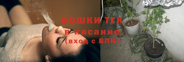 дживик Бикин
