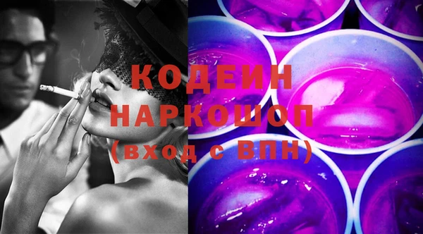 хмурый Новозыбков