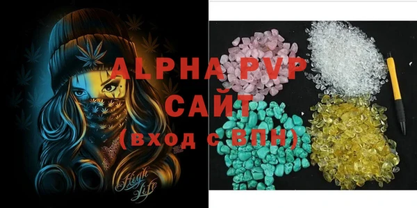 хмурый Новозыбков