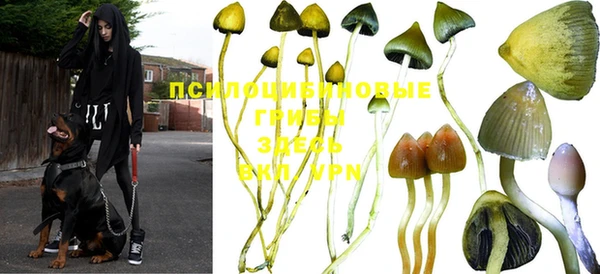 винт Новодвинск